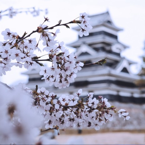 Nagoya For Lovers | Boomplay Music