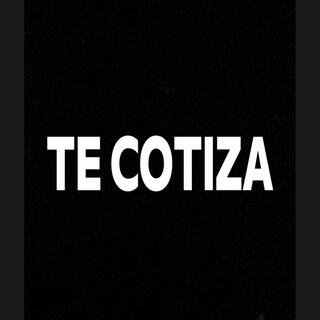 Te Cotiza