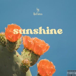 Sunshine lyrics | Boomplay Music