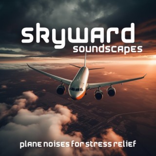 Skyward Soundscapes: Plane Noises for Stress Relief