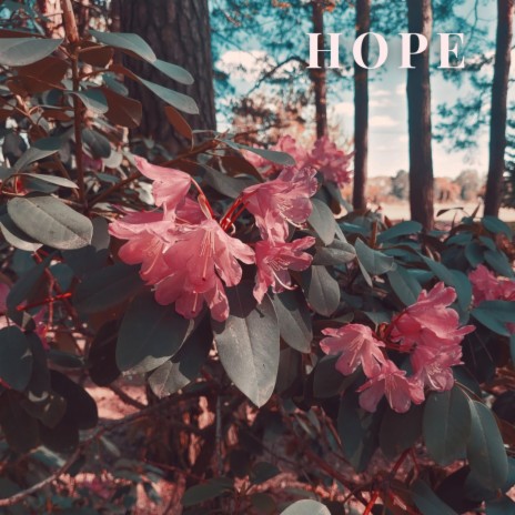 Hope | Boomplay Music