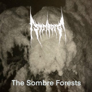 The Sombre Forests