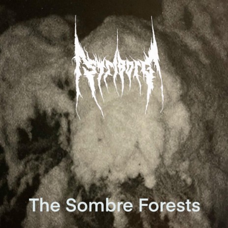 The Dismal Snow Set in the Sombre Forests (Remix) | Boomplay Music