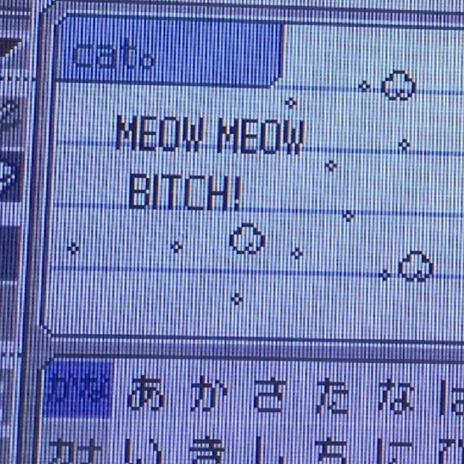 MEOW MEOW BITCH!