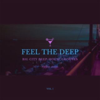 Feel The Deep (Big City Deep-House Grooves), Vol. 1