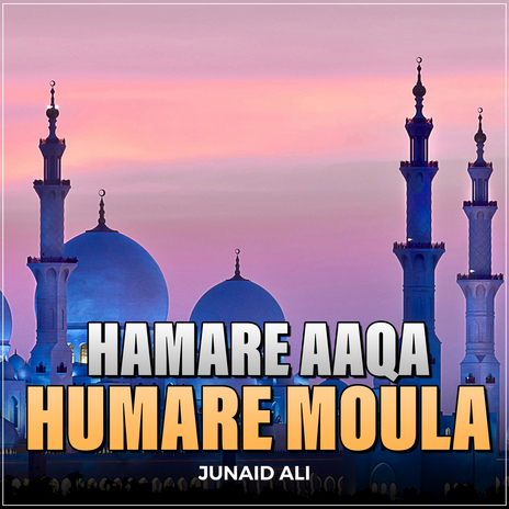 Hamare Aaqa Humare Moula | Boomplay Music