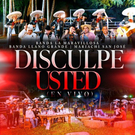 Disculpe Usted (En Vivo) ft. Mariachi San José & Banda Llano Grande | Boomplay Music