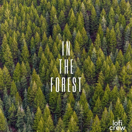 Lofi Forest Beat