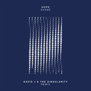 Shame (David J & The Singularity Remix)