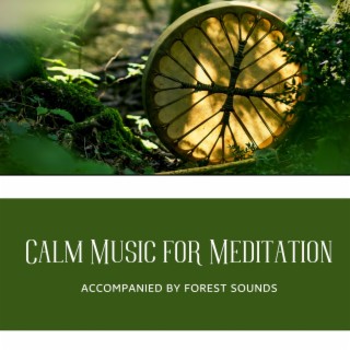 Calm Music for Meditation Accompanied by Forest Sounds
