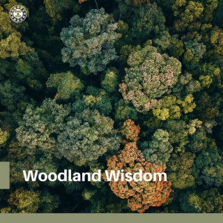 Woodland Wisdom: Shamanic Chants and Birds