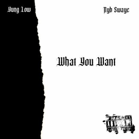What You Want ft. Nyb Swaye | Boomplay Music