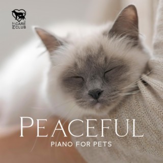 Peaceful Piano for Pets: Sound Therapy for Sleep and Anxiety