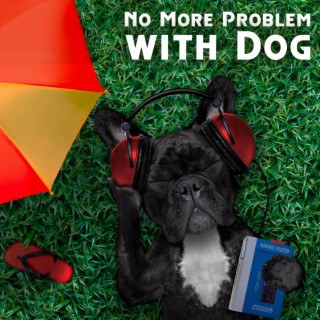 No More Problem with Dog: Calming Dogs Therapy Music while You Are Out