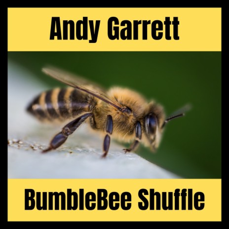 Bumblebee Shuffle (Country Jazz) | Boomplay Music