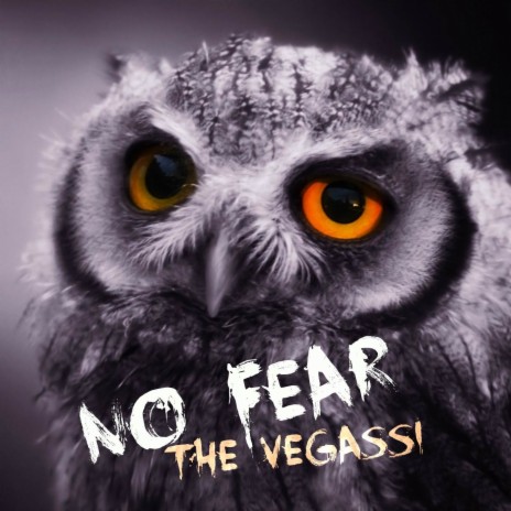 No Fear | Boomplay Music