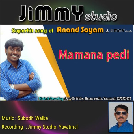 Mamana Pedi (Gondi Song) ft. Anand Soyam & Subodh Walke | Boomplay Music