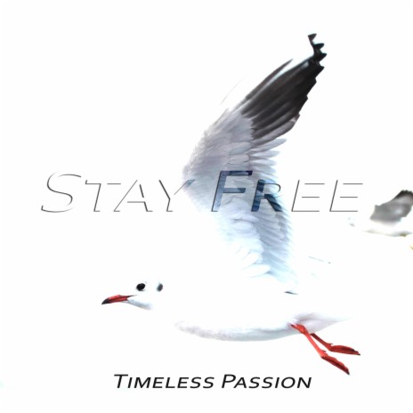 Stay Free ft. Gal Hornstein & Chris Bouchard