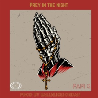 Prey in the Night ft. BALLNLIKEJORDAN lyrics | Boomplay Music
