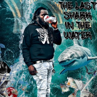 The Last Shark In The Water