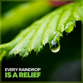 Every Raindrop Is a Relief