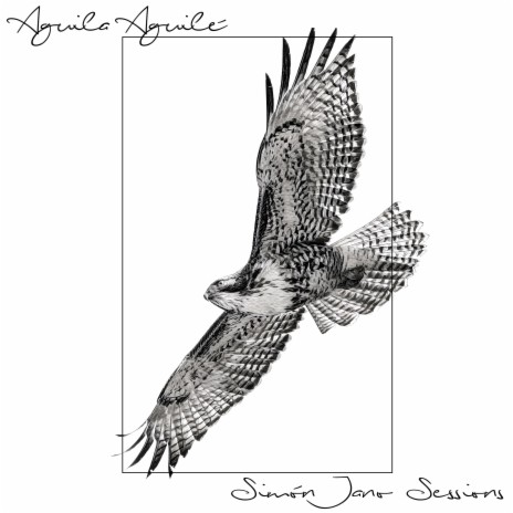 Aguila Aguile | Boomplay Music