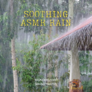 Soothing ASMR Rain and Thunder Sounds