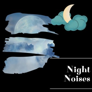 Night Noises for Deep Focus and Study