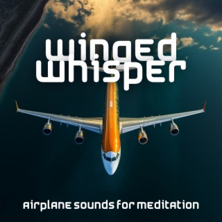 Winged Whisper: Airplane Sounds for Meditation