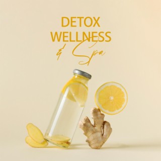 Detox, Wellness & Spa: Relaxing Spa Music for Beauty Rituals, Whole Body Treatment