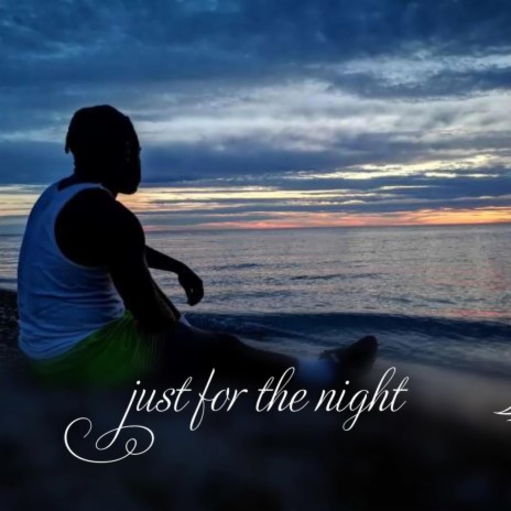 Just for the Night | Boomplay Music
