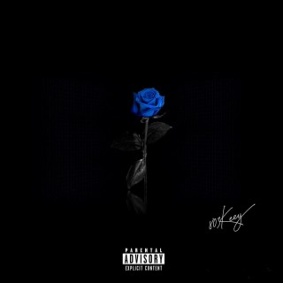 Blue Roses