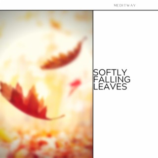Softly Falling Leaves
