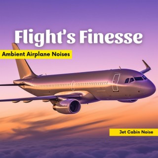 Flight's Finesse: Ambient Airplane Noises