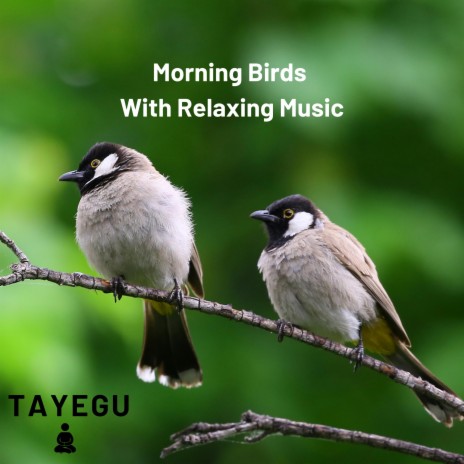 Birds Chirping Relaxing Music Morning 1 Hour Nature Ambient Yoga Meditation Sound For Sleep or Study