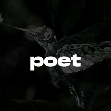 Poet (Melodic Drill Type Beat) | Boomplay Music