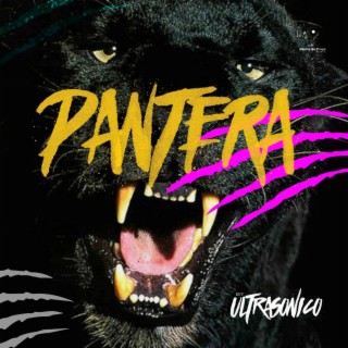 Pantera lyrics | Boomplay Music