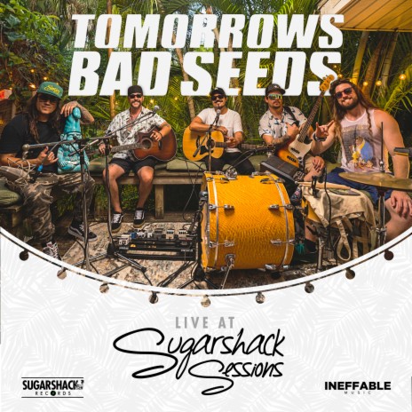 Love Street (Live at Sugarshack Sessions) | Boomplay Music