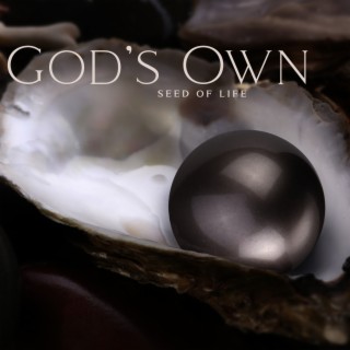 God’s Own: Seed of Life, Pineal Gland Activation