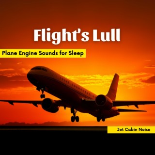 Flight's Lull: Plane Engine Sounds for Sleep