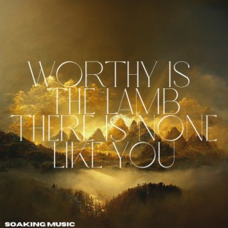 Worthy Is The Lamb/There Is None Like You (Soaking Music)