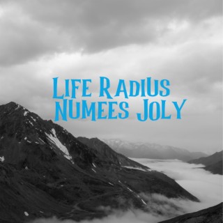 Life Radius