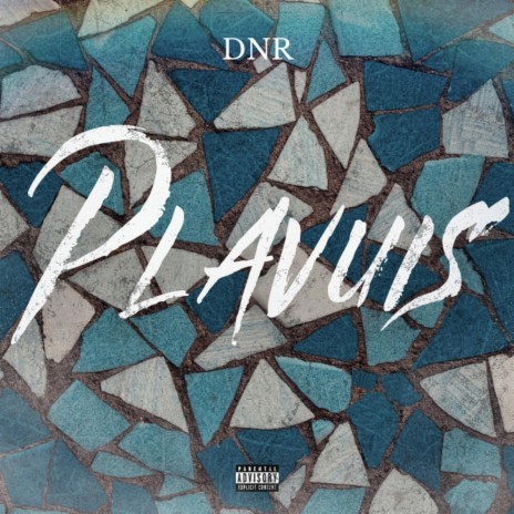 Plavuis | Boomplay Music
