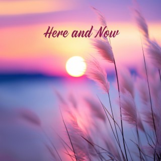 Here and Now: Present Moment Meditation