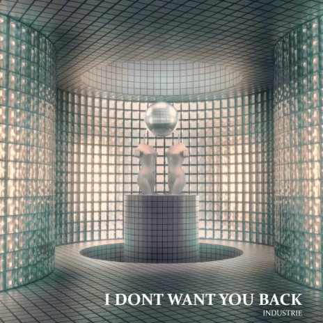 I Don't Want You Back | Boomplay Music