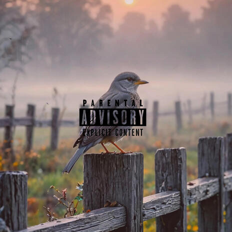 Gray Bird | Boomplay Music