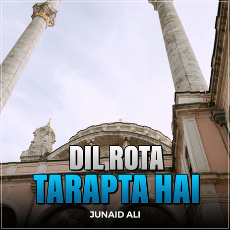 Dil Rota Tarapta Hai | Boomplay Music