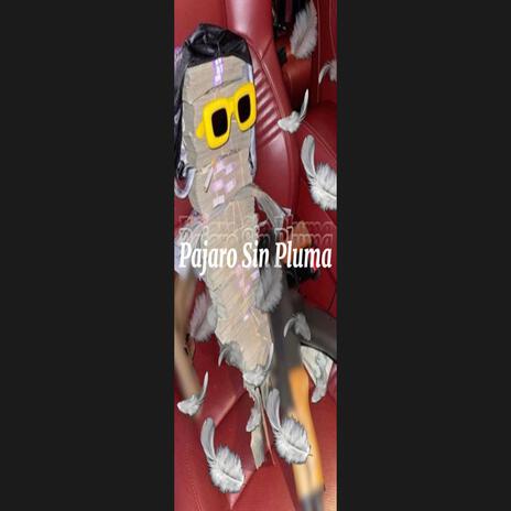 Pajaro Sin Pluma ft. 2ble M | Boomplay Music