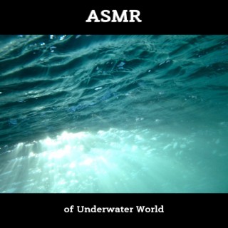 ASMR of Underwater World