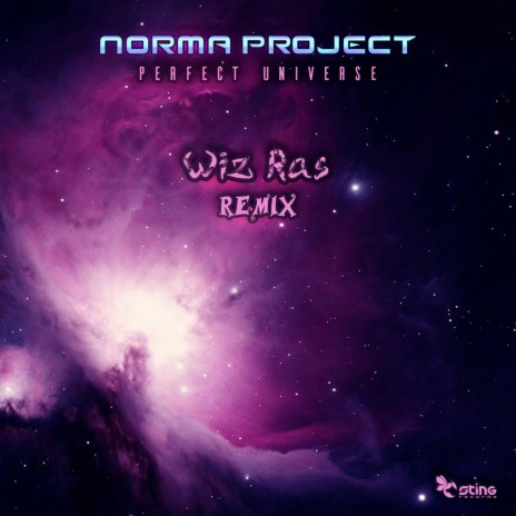 Perfect Universe (Wiz Ras Remix) | Boomplay Music